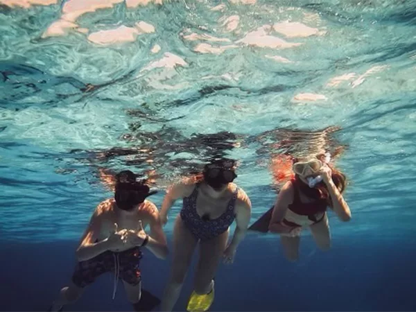 snorkeling in cayman islands